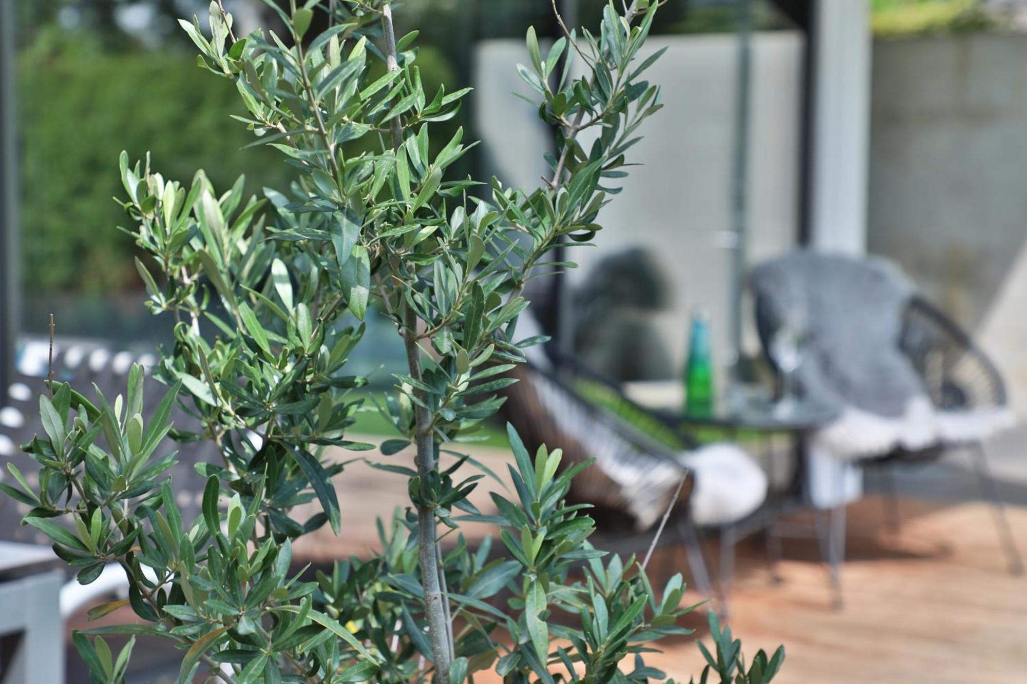 Modernes Studio-Apartment แกร์สโทเฟิน ภายนอก รูปภาพ